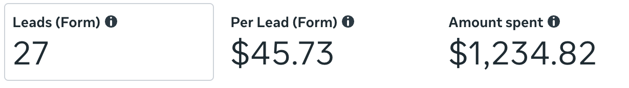Meta ads results: 27 leads at $45.73 per lead